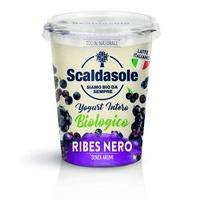 Yogurt Intero al Ribes Nero